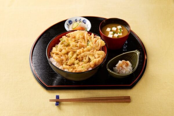 1060091_1060092_1060093_4種の国産野菜えびいかかき揚げ_メニュー写真